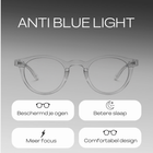 AMSTERDAM - BLUE LIGHT